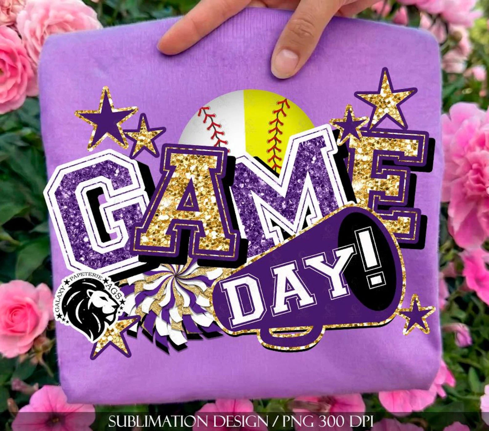 Softball/Baseball Game Day